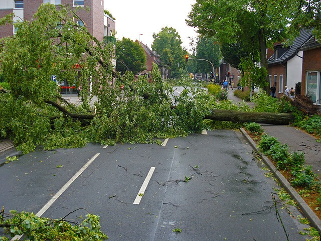 How Phone Bots Can Support Communities During Tornado Warnings